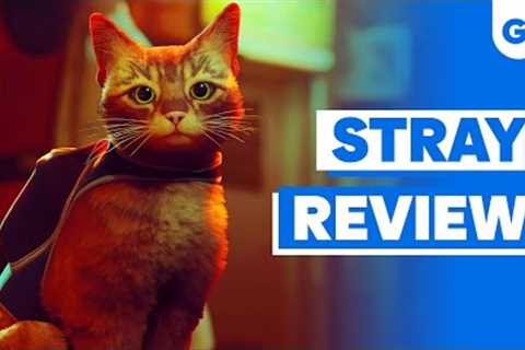 Stray Review – A Game About Being A Cat