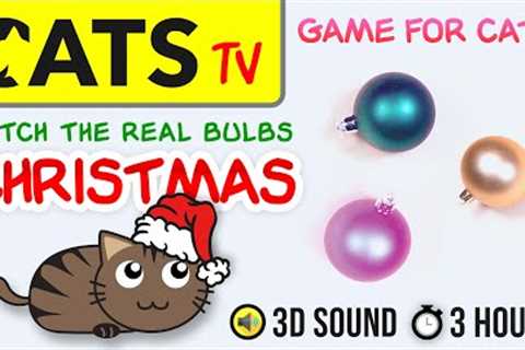 GAME FOR CATS - Real bulbs for CHRISTMAS - 60fps [Cats TV] 3 HOURS