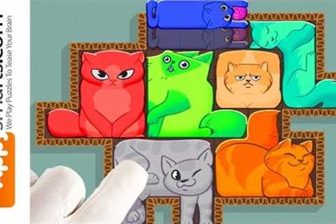 Puzzle Cats - Solve ''''Fit the Board Type Puzzles With Cat Shaped Blocks (Kids 9+ And Adults)