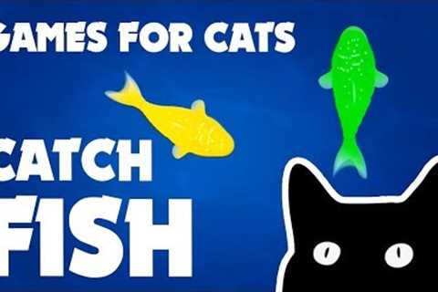 FISH GAME FOR CATS ★ games for cats