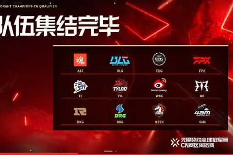 The teams that will participate in the China Qualifier Playoff for the VCT Champions have been..