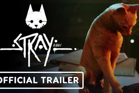 Stray is Coming to Xbox: Release Date and Launch Trailer