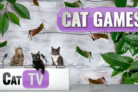 CAT Games | The Great Grasshopper Game | Cat TV 4K | Bug Videos For Cats to Watch | 😼 🦗