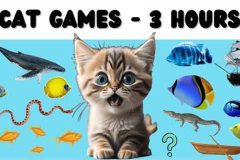 Cat Games Compilation - Fish & Water Edition - 3 Hours of Cat TV with some SURPRISES!