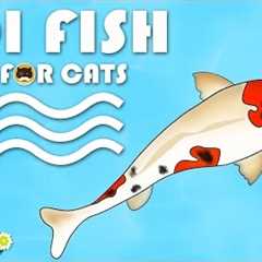 CAT GAMES FISH - Catching Koi Fish. Video for Cats to Watch.