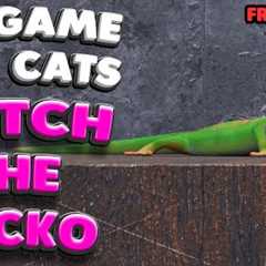 3D game for cats | CATCH THE GECKO (front view) | 4K, 60 fps, stereo sound