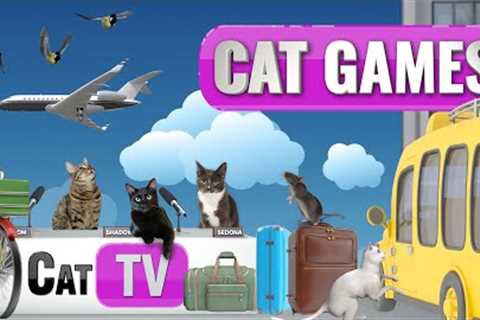 CAT Games | Cat TV Travel Adventure! 🚗🚲🚁🧳✈️ | 4K Videos For Cats to Watch 😼 | Dog TV