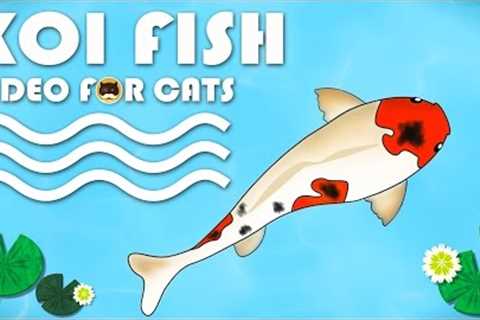 CAT GAMES FISH - Catching Koi Fish. Video for Cats to Watch.