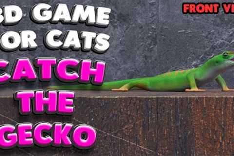 3D game for cats | CATCH THE GECKO (front view) | 4K, 60 fps, stereo sound