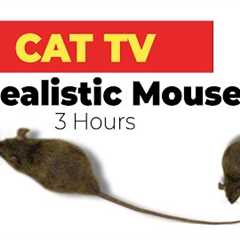 CAT GAMES - Realistic Mouse  HD - 3 HOURS (Video for Cats & Dogs to watch)