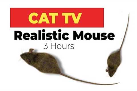 CAT GAMES - Realistic Mouse  HD - 3 HOURS (Video for Cats & Dogs to watch)