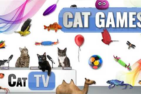 CAT Games | Ultimate Cat TV Compilation Vol 57 | 2 HOURS 🐝🐞🦋🦎🦜🐜🐭🧵