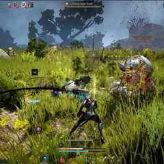 Game shutdown drama: Players told to fork out for new £430 console or kiss Black Desert Online..