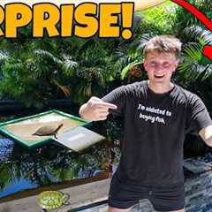 GIFTING PAUL CUFFARO A NEW ANIMAL FOR HIS FARM!