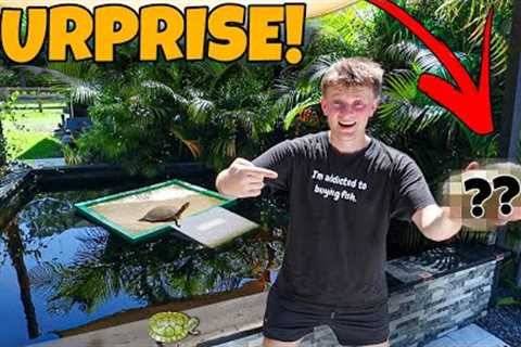 GIFTING PAUL CUFFARO A NEW ANIMAL FOR HIS FARM!